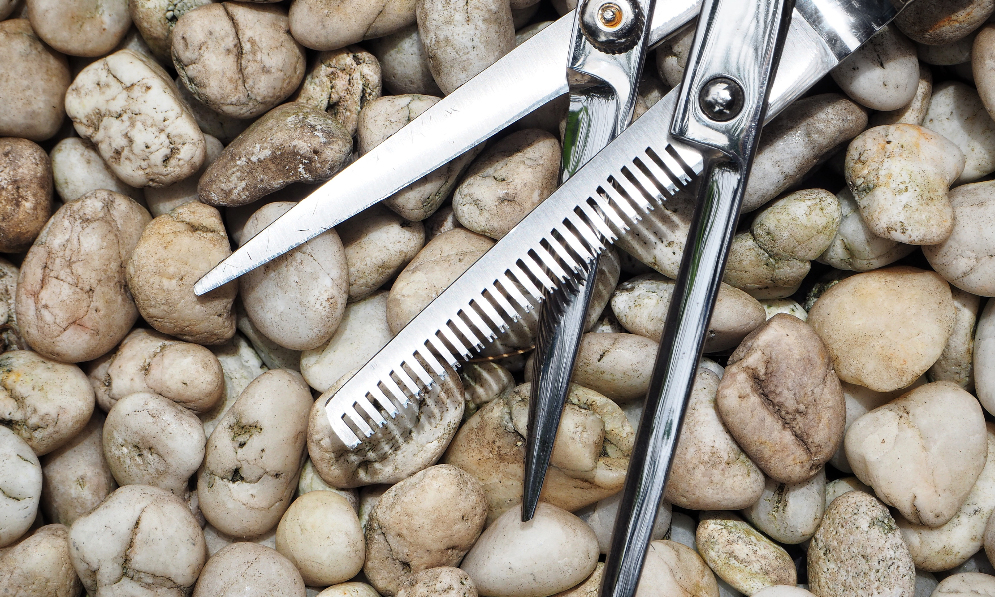 Q&A Guide to Buying Hair Shears